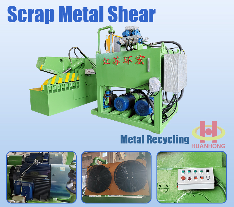 alligator shaer 鳄鱼鲨